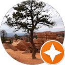 Selina De profile picture